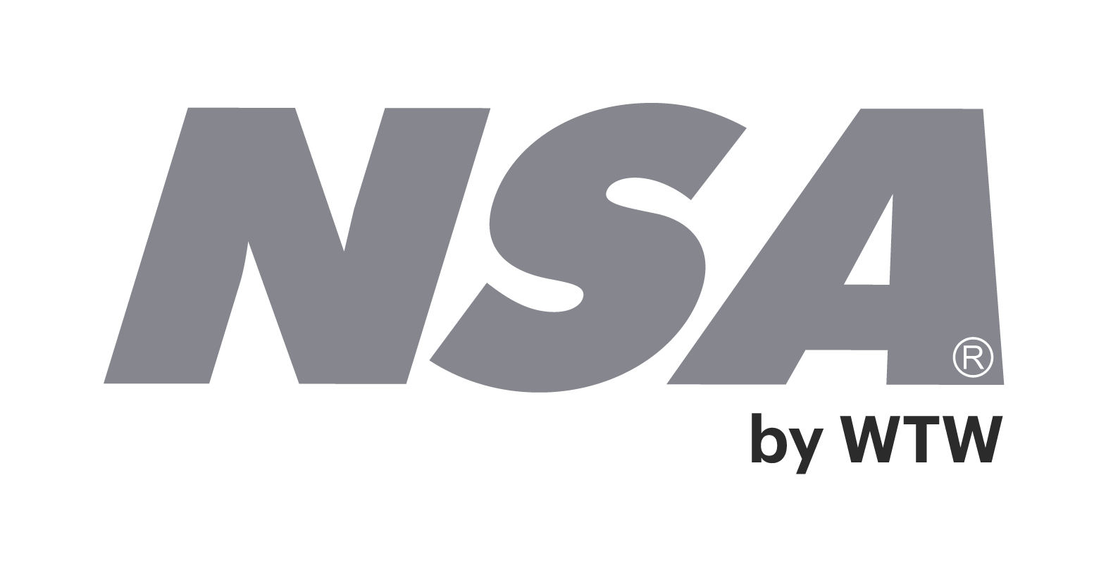 logo NSA